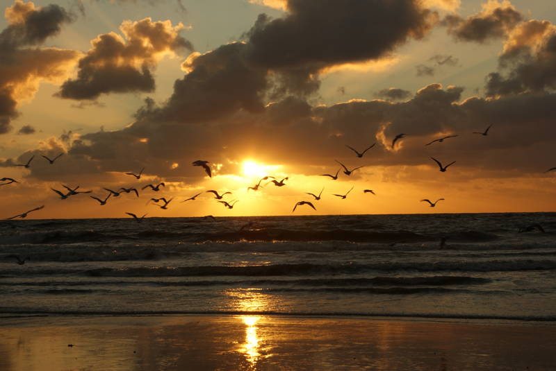 Zonsondergang Strand Callantsoog Sonnenuntergang